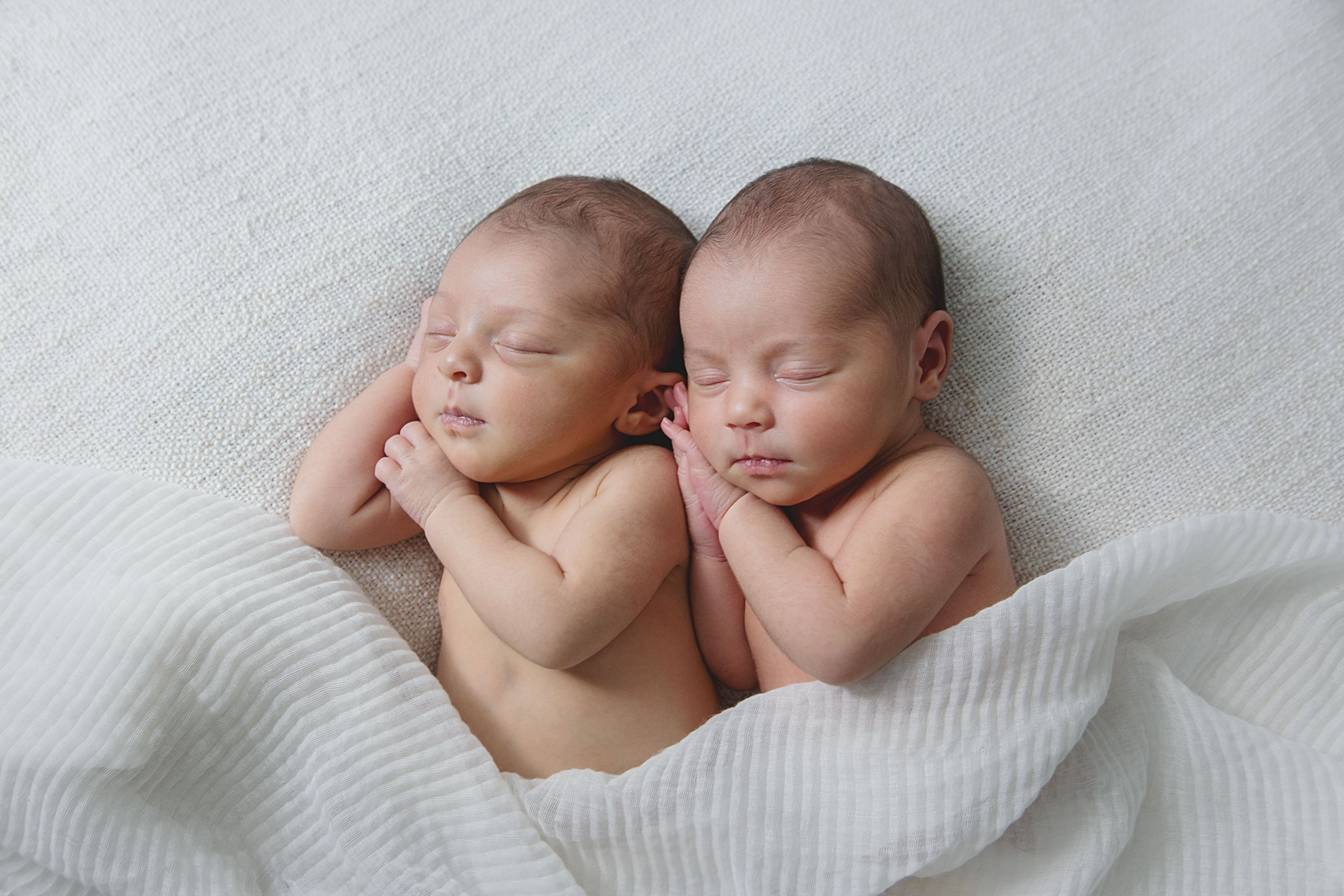twin newborn studio photographer in colorado springs